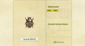 Hoe een Scarab Beetle te vangen in Animal Crossing: New Horizons