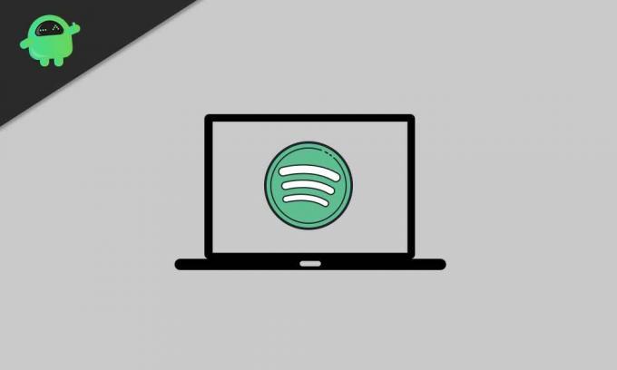 Spotify Web Player Çalışmıyorsa Nasıl Onarılır