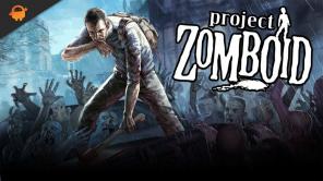 Project Zomboid 2022:n paras hahmorakennelma