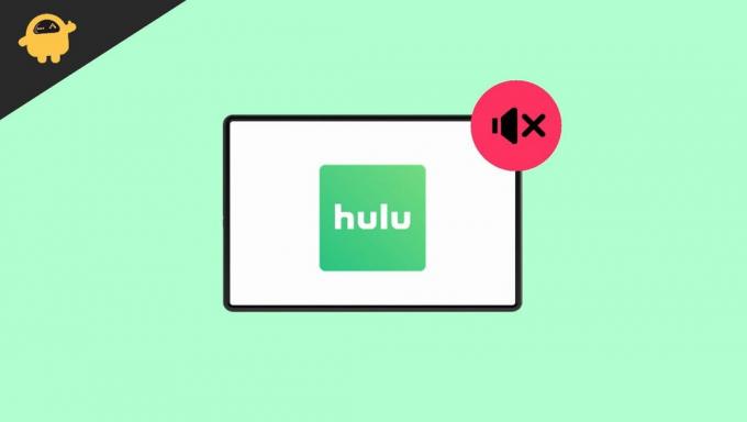 Korjaa Hulu App Audio, joka ei toimi iPadissa