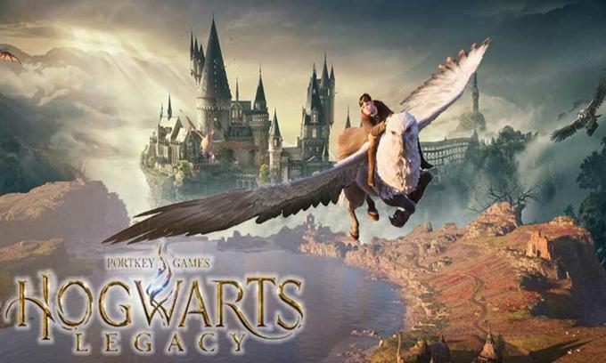 Fix: Hogwarts Legacy Dark Arts-Kosmetikset wird nicht angezeigt