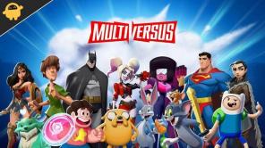 MultiVersus Tom & Jerry Guide: Die besten Moves, Perks und Strategien