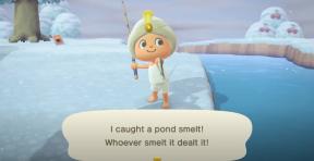 Cómo detectar el olor a estanque en Animal Crossing New Horizons