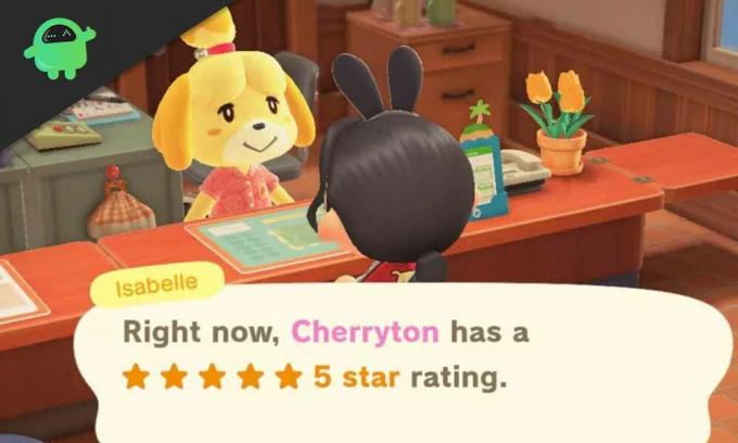 Jak zdobyć 5 gwiazdek w Animal Crossing New Horizons?