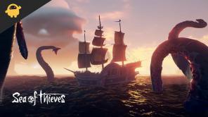 Fix: Sea of ​​Thieves fuld skærm virker ikke