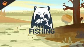 תיקון: Russian Fishing 4 תקוע במסך הטעינה