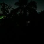 Poco F1 ve Mi 8 için Taşınan Google Gece Görüşü