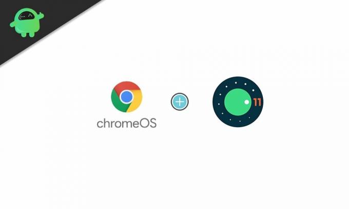 ¿Cómo obtener la actualización de Android 11 en su Chromebook?