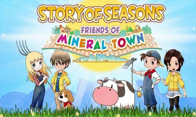 Seasons of Seasons: Friends of Mineral Town Power Berry Locations