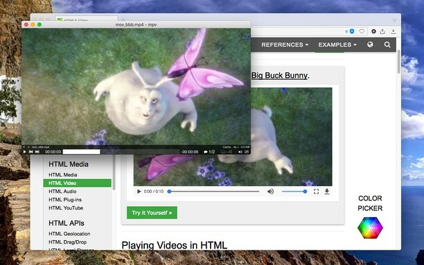 Invia al browser del lettore video MPV (1)