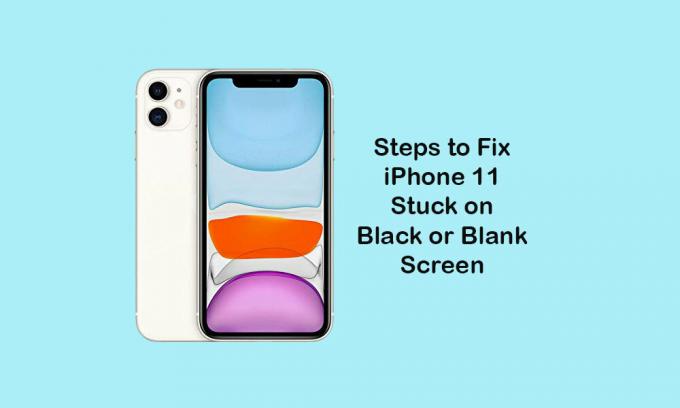 Как да поправим iPhone 11, заседнал на черен или празен екран