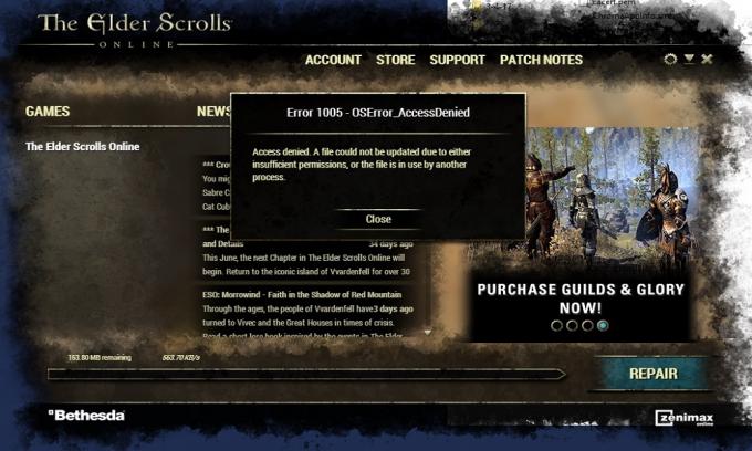 ¿Cómo reparar el error 1005 de Elder Scrolls Online?
