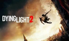 Corrección: Dying Light 2 no se carga o falla en Nintendo Switch