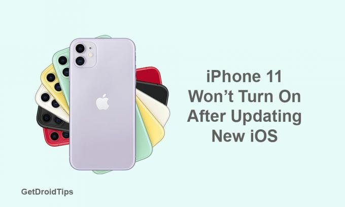 Labojiet iPhone 11, kas netiks ieslēgts pēc jaunās iOS versijas atjaunināšanas