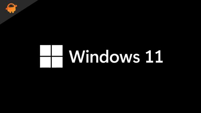 نظام التشغيل Windows 11