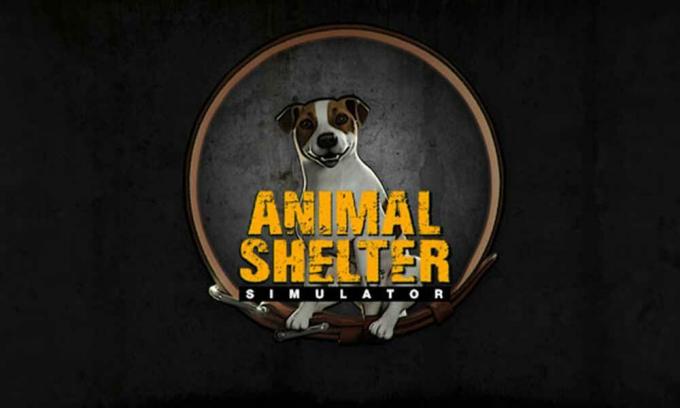 Pataisymas: Animal Shelter nuolat stringa paleidus kompiuterį