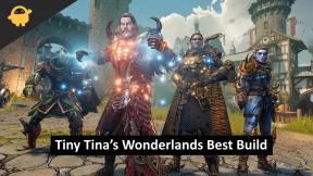 La mejor configuración de Tiny Tina's Wonderlands: Spellshot, Graveborn, Clawbringer, Melee y más