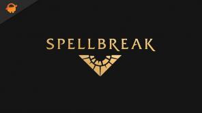 Oprava: Spellbreak Crashing na mém PC s Windows