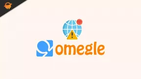 फिक्स: Omegle वाईफाई पर काम नहीं कर रहा है