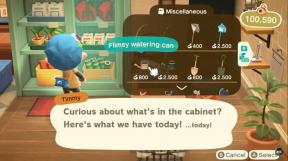 Sådan får du udendørsværktøjer i Animal Crossing New Horizons