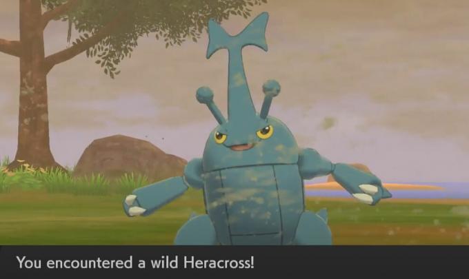 Come ottenere Heracross in Pokemon Sword e Shield Isle of Armor