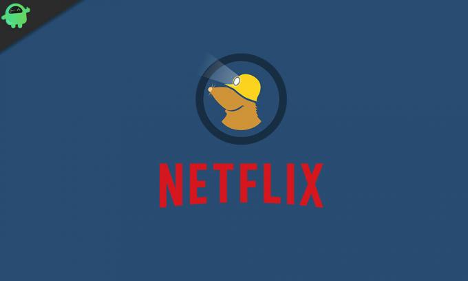Funguje Netflix s Mullvad VPN