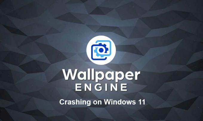 Wallpaper Engine kraschar på Windows 11, hur åtgärdar jag?