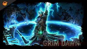 Grim Dawn Acid and Poison Build -guider
