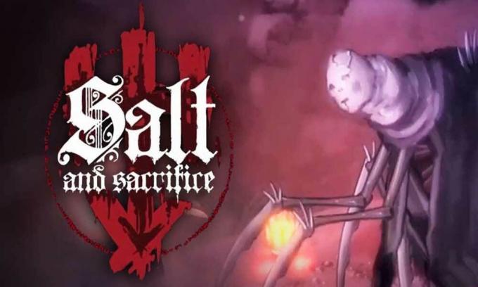 Remediere: Salt and Sacrifice continuă să se prăbușească pe PC