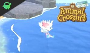 Jak zdobyć kombinezon kąpielowy w Animal Crossing New Horizons