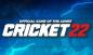 Correção: Cricket 22 FPS Drops: como melhorar o desempenho do jogo