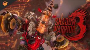 Popravak: Shadow Warrior 3 muca, zaostaje ili se jako smrzava