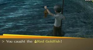 Persona 4 Golden'da Kırmızı Japon Balığı Nasıl Elde Edilir