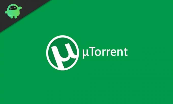Utorrent web ошибка при установке