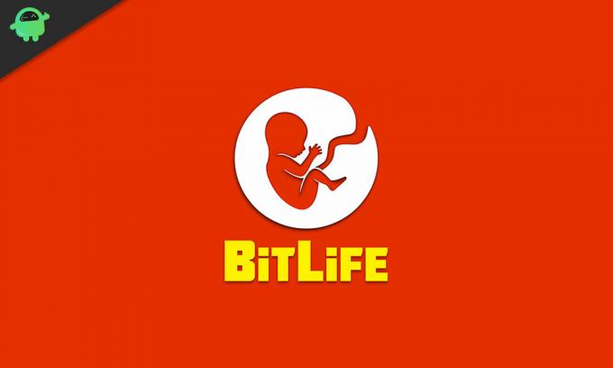 Veiledning: Hvordan bli munk i BitLife-spillet