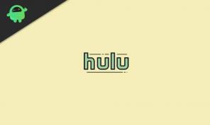 Arreglo: Código de error de Hulu P-DEV318