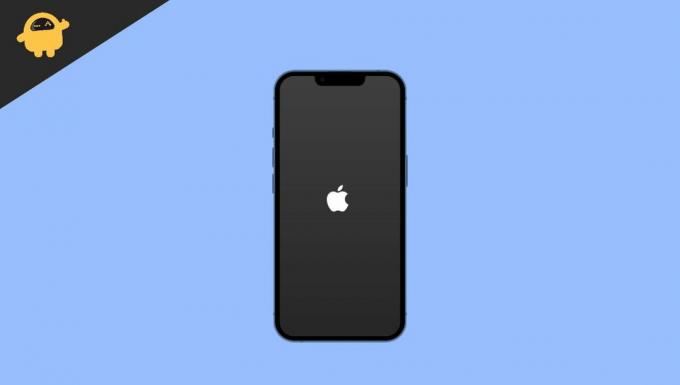Jak opravit iPhone 13 zaseknutý ve smyčce Apple LogoBoot bez ztráty dat