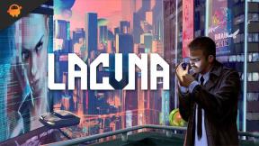 תיקון: Lacuna לא נטען או לא עובד על Nintendo Switch