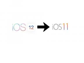 Herhangi bir Apple Aygıtında iOS 12 Genel Beta'yı iOS 11'e Düşürme