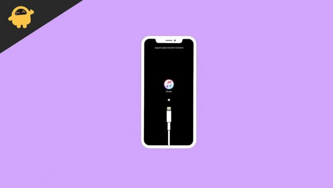 Labot iPhone ir atspējots Izveidojiet savienojumu ar iTunes kļūdu tālrunī 13, 13 Pro vai Pro Max
