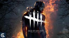 Dead by Daylight High Ping a Packet Loss Fix