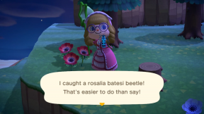 Animal Crossing: New Horizons Archives