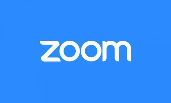 Zoom Meeting Veelvoorkomende problemen en foutcodes