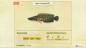 Cara Menangkap Ikan Gabus Raksasa di Animal Crossing: New Horizons