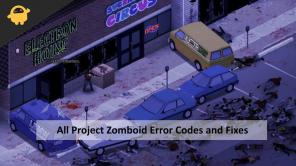 Alle Project Zomboid-Fehlercodes und -Fixes