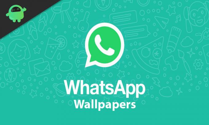 Parhaat WhatsApp-taustakuvat vuodelle 2020