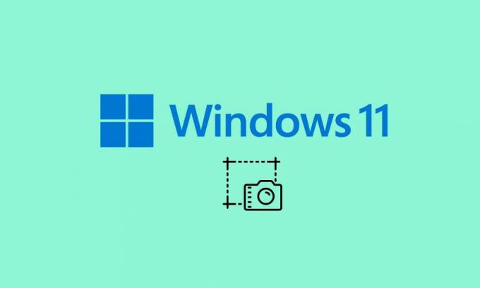 Come risolvere se la cartella Screenshot manca in Windows 11