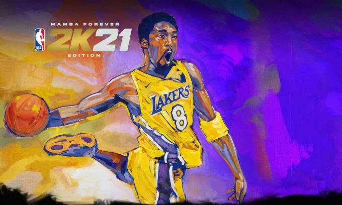 Επιδιόρθωση: NBA 2K21: Δεν είναι δυνατός ο συγχρονισμός των πληροφοριών προφίλ χρήστη