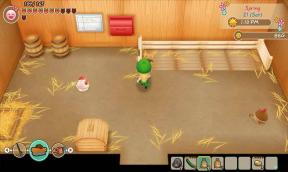 Story of Seasons: Friends of Mineral Town Archives
