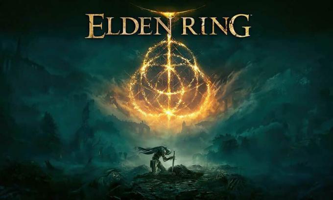 Oprava: Zrútenie Elden Ring na PC